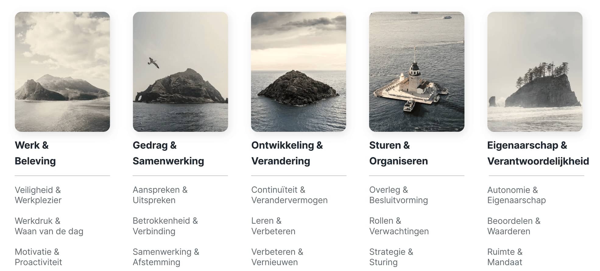 Aaim Cultuuronderzoek Cultuurdomeinen en Thema's