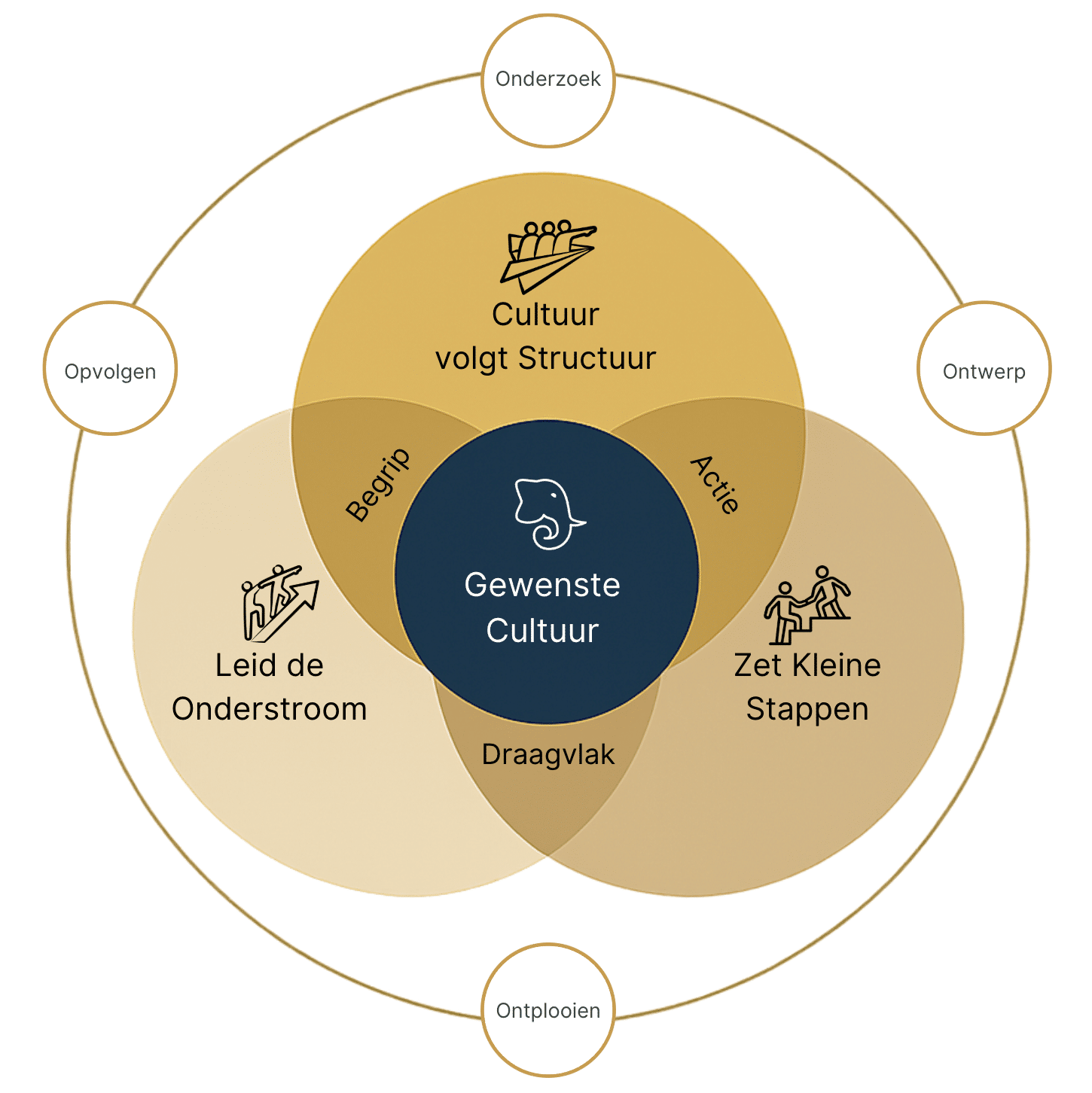 Aaim Model Cultuurverandering White