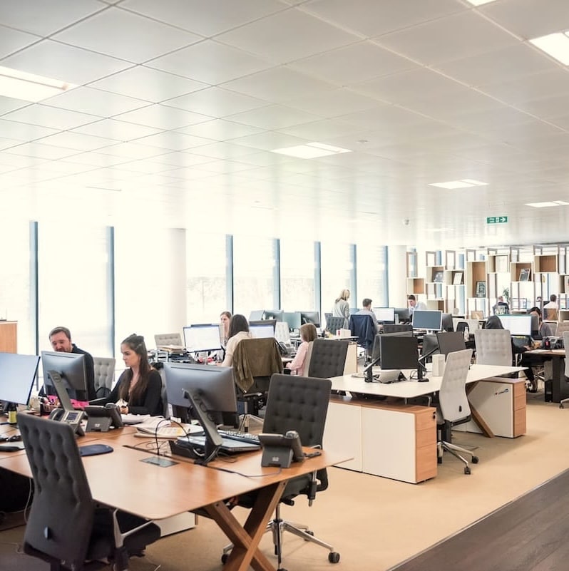 Het effect van de curlingmanager