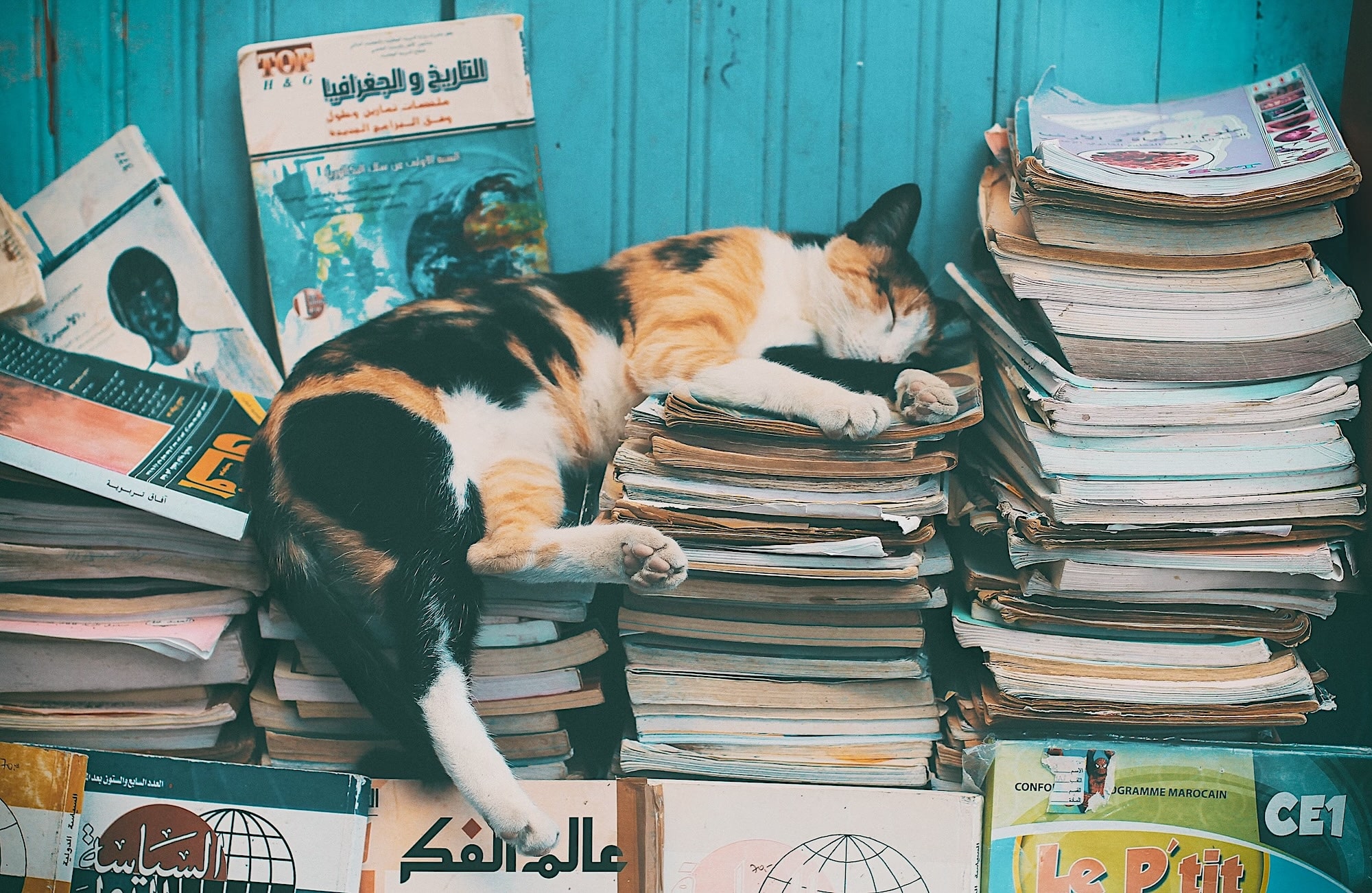 Werdruk te hoog, of is het onzin?