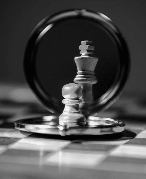 Het gedragsprofiel van de brilliant jerk